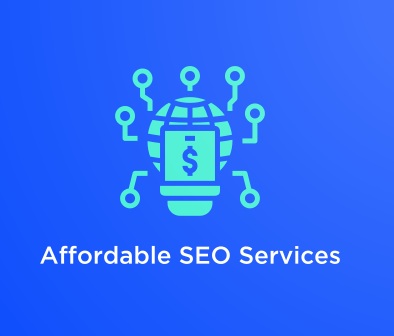 We provide affordable SEO services everyone can afford